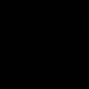 Meet your Posher, Zamila